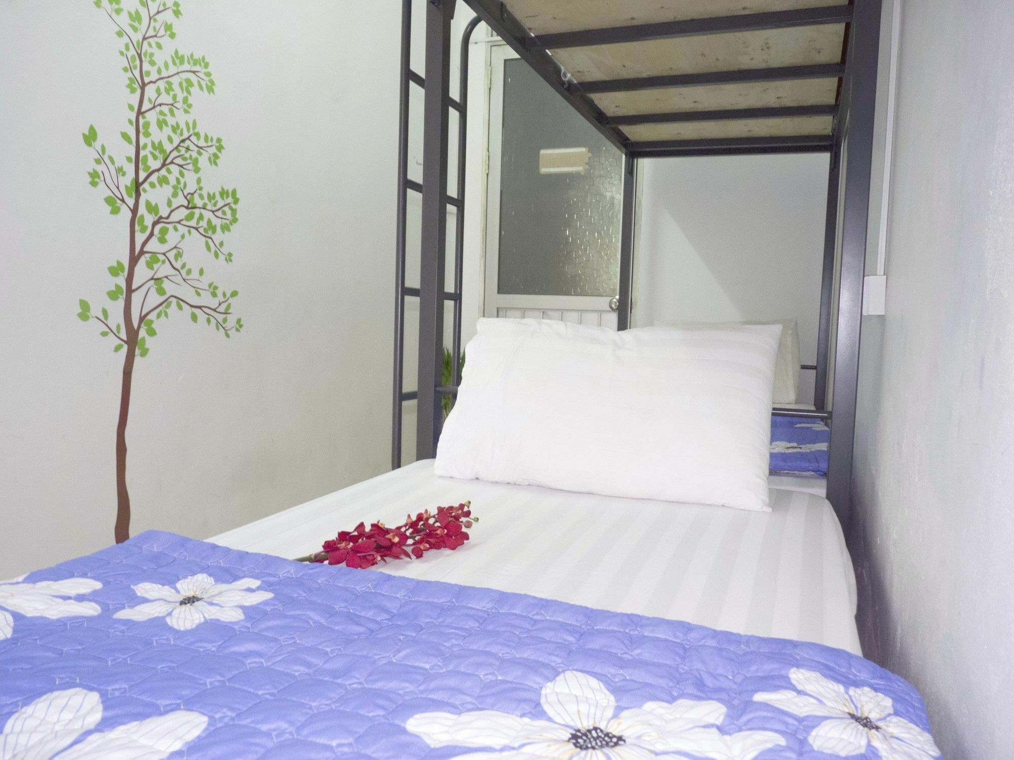 Daisy Hostel Hanoi Exterior photo
